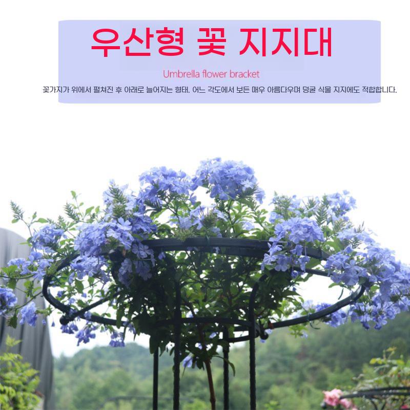 원형 지지대 화초 오이지지대 식물 덩쿨 장미 원목 대형 넝쿨 - 상세 이미지 2