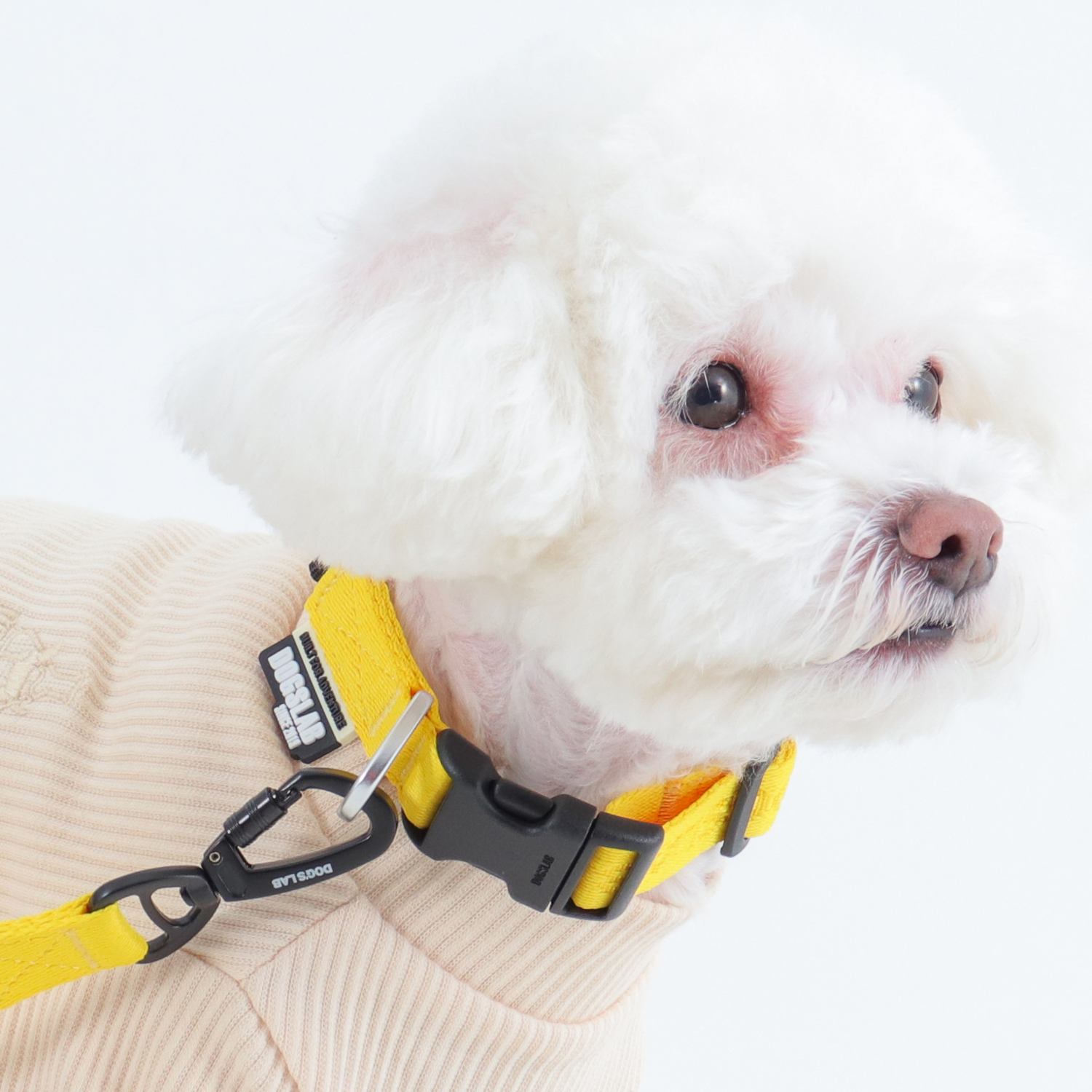 독스랩 강아지 목줄 개 클래식 소형견 중형견 대형견 반려견 XXS 이미지 7