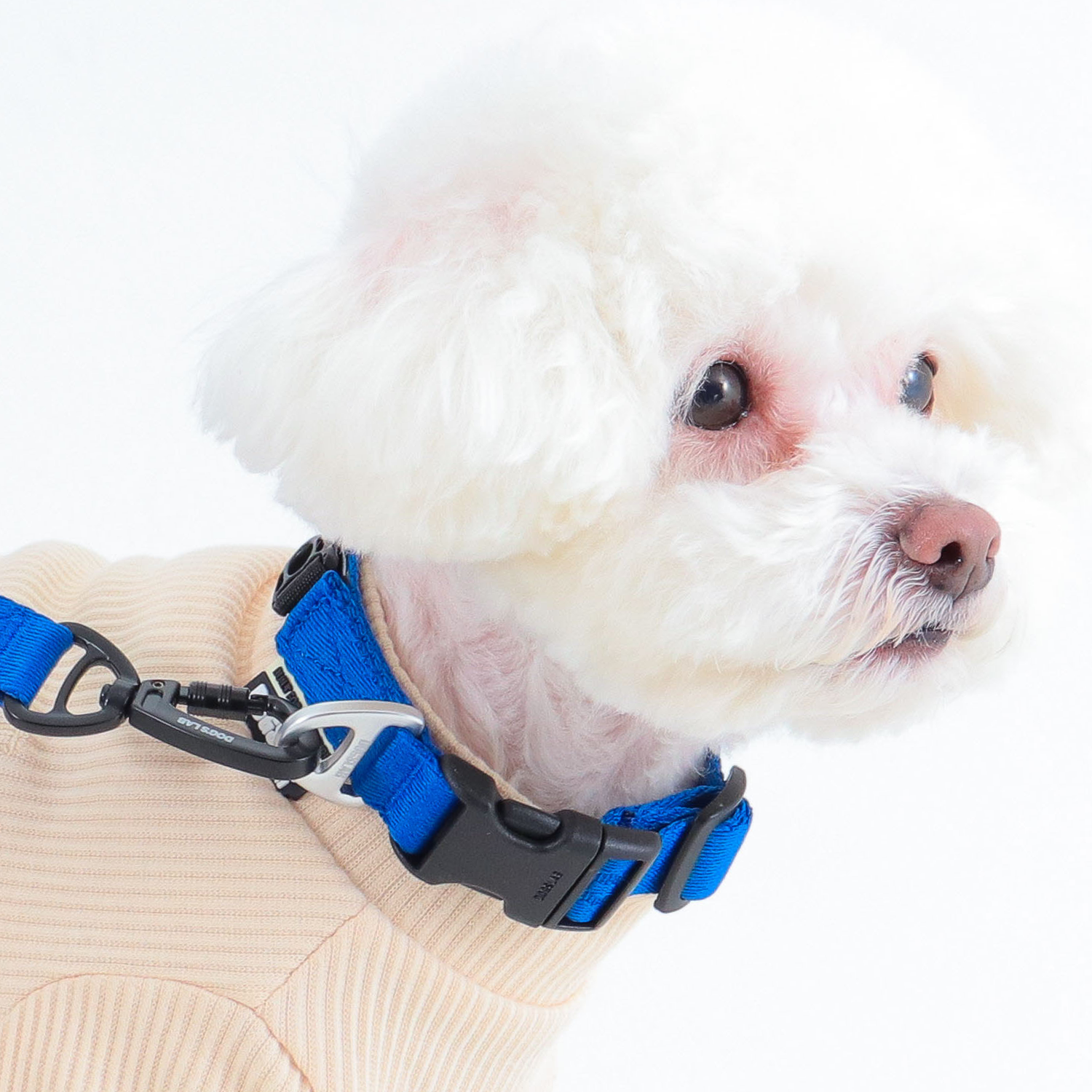 독스랩 강아지 목줄 개 클래식 소형견 중형견 대형견 반려견 XXS - 상세 이미지 3
