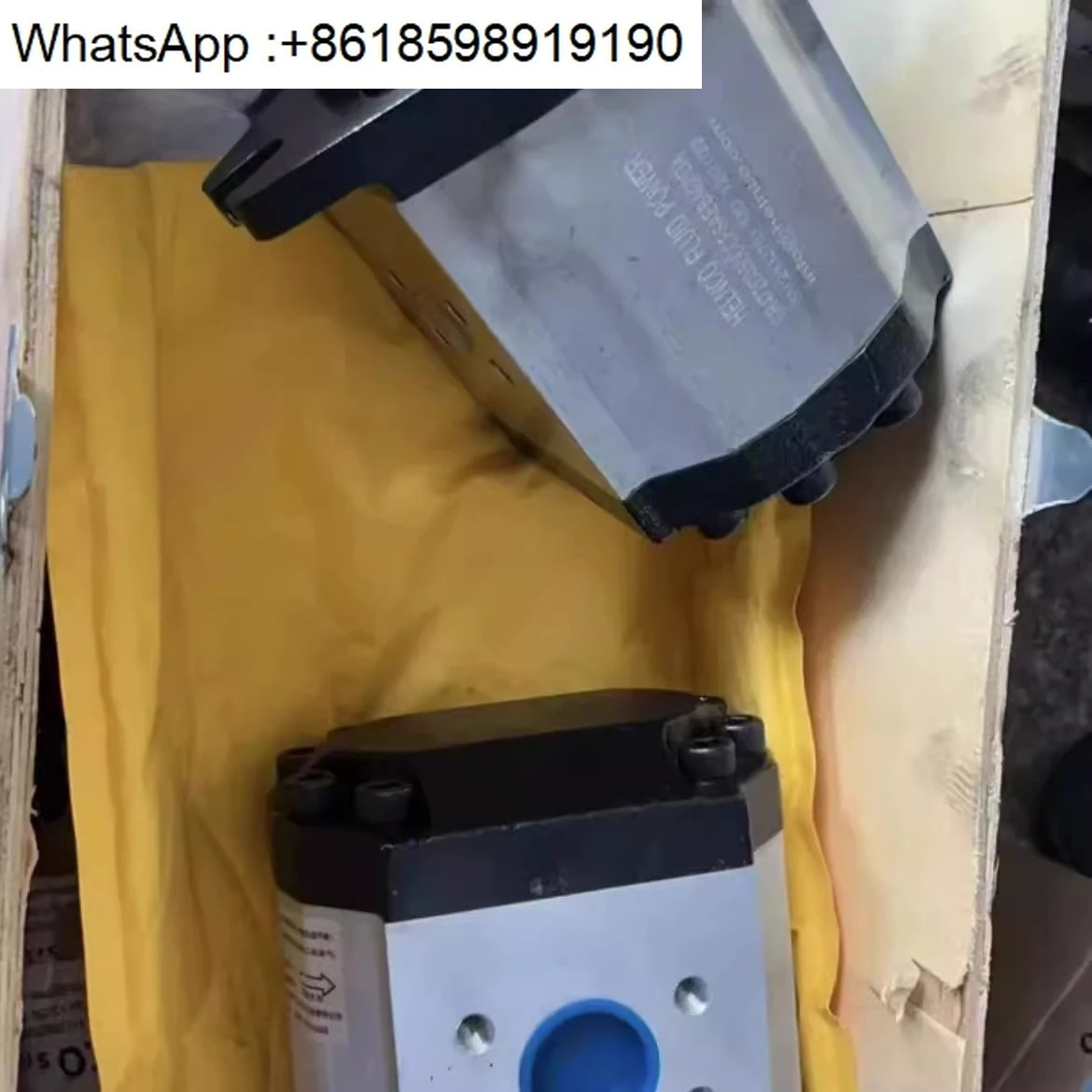 나사 특수 오일 펌프 G55C063FSBAC0EDSV/G55