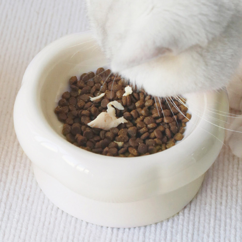 세라믹 높은 강아지 밥그릇 도자기 고양이 물그릇 식기 300ml, 낮은볼(아이보리) - 상세 이미지 4
