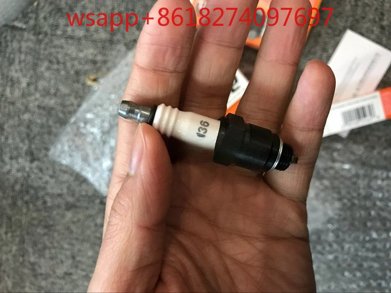 AUTOLITE 점화 플매트 카펫 러그 3136