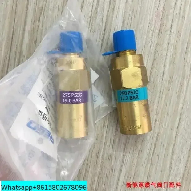 REGO 안전 밸브 PRV9432TP 저온 LNG 액체 질소 산소 1/4 미국