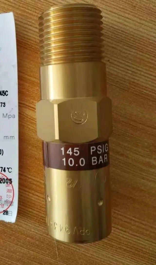 REGO Dewar 병 생선 저온 절연 천연 LNG 안전 밸브