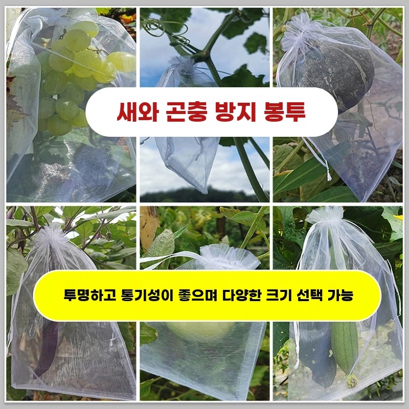 방충방조과수봉지 사과 그물망 9x12cm/100pcs( A. 912cm 1에 10개입 흰색 - 상품 이미지
