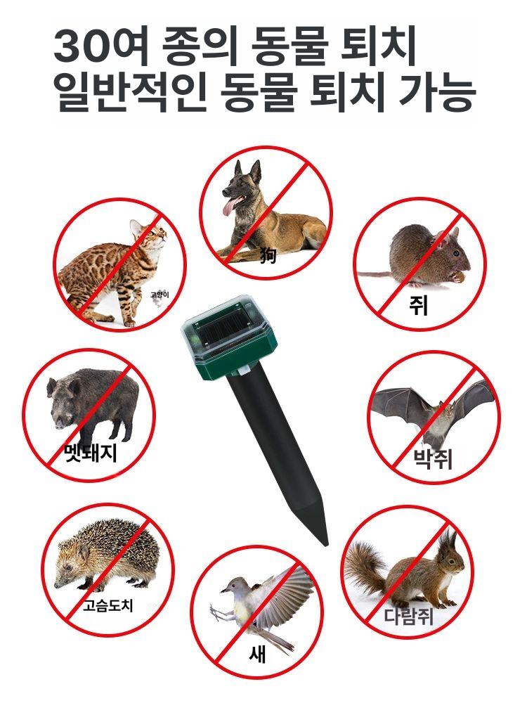 야생동물 족제비 퇴치기 지킴이 보호용 방수 쥐 네메시스 농장 고양이 과수원 - 상세 이미지 5