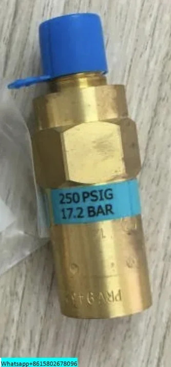 REGO 안전 밸브 PRV9432TP 저온 LNG 액체 질소 산소 1/4 미국