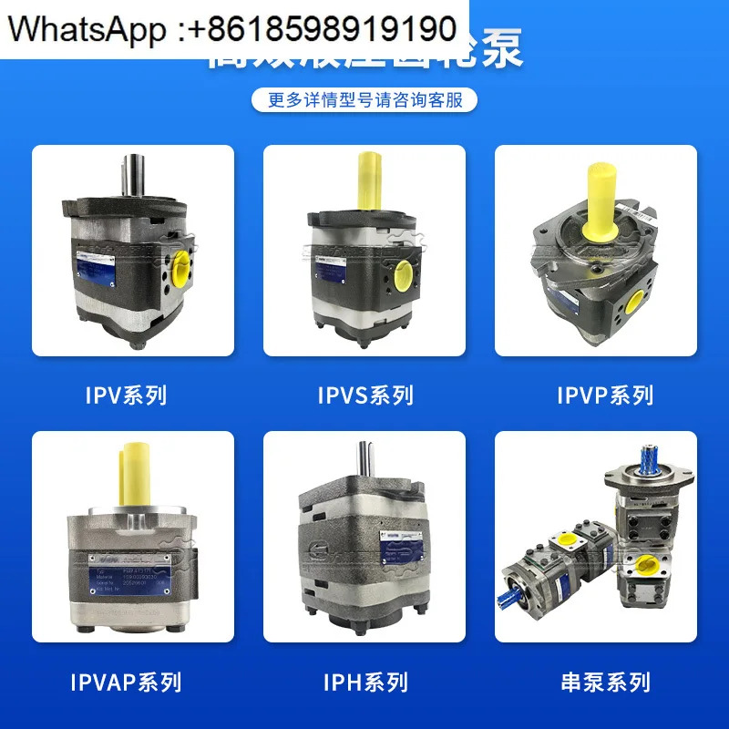 기어 펌프 IPVP/AP/S3 4 5 6 7-64-101 이유압 내부 메쉬 Voith 오일