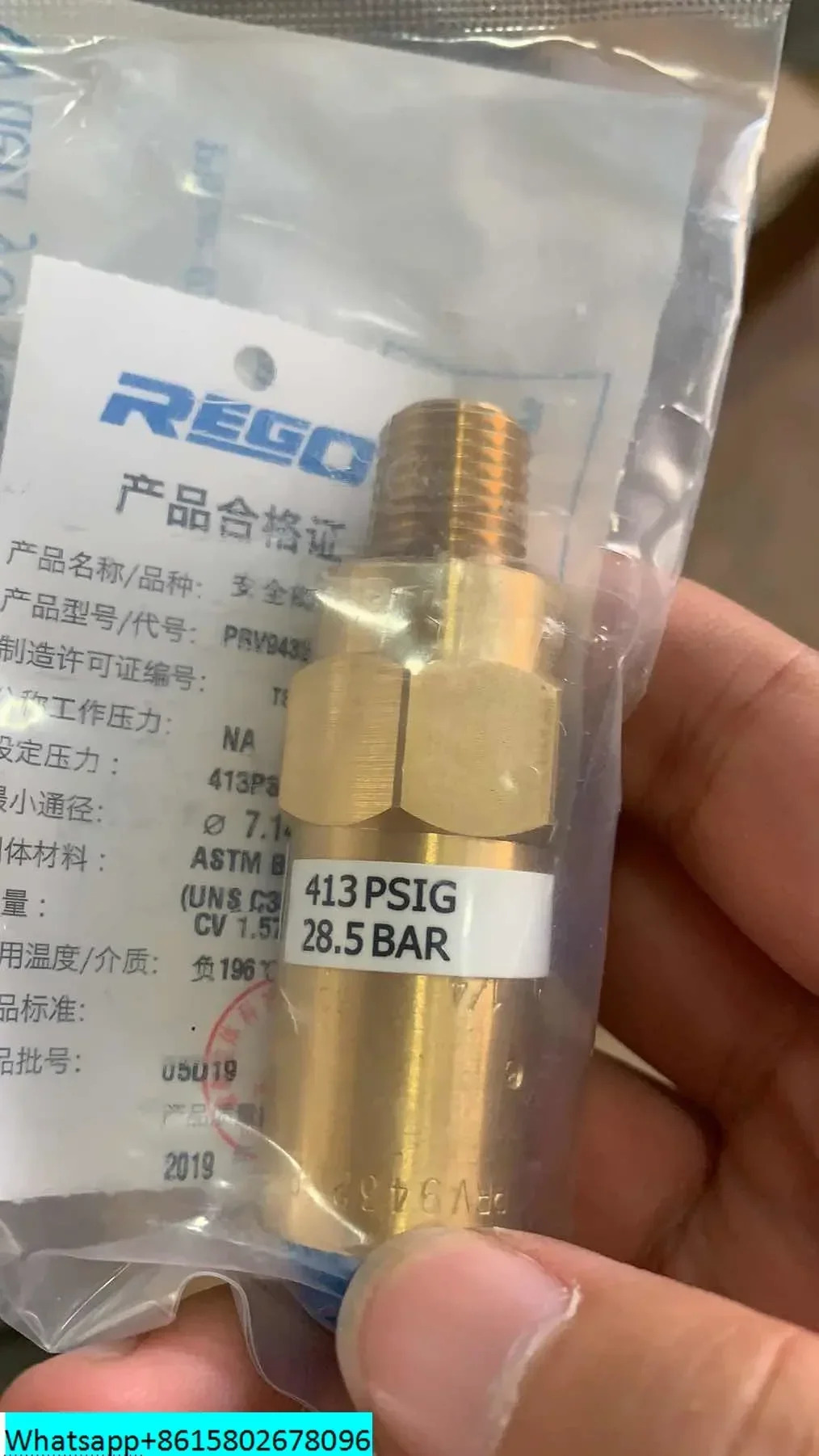 REGO Dewar 병 생선 저온 절연 천연 LNG 안전 밸브