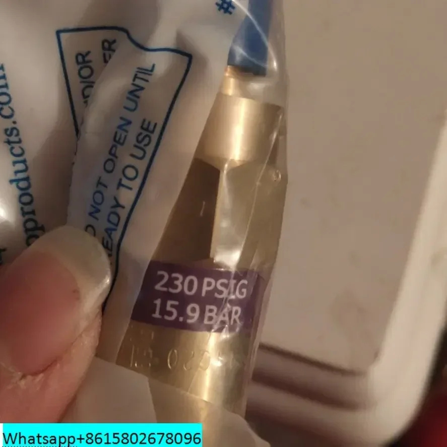 REGO 안전 밸브 PRV9432TP 저온 LNG 액체 질소 산소 1/4 미국