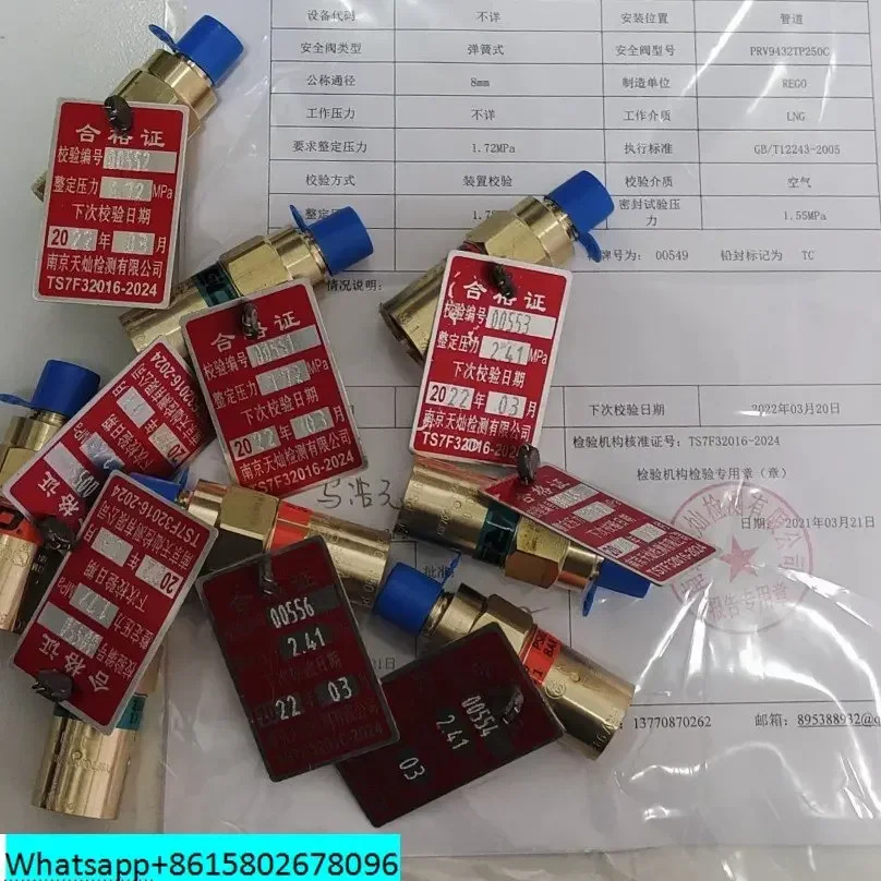 REGO 안전 밸브 PRV9432TP 저온 LNG 액체 질소 산소 1/4 미국