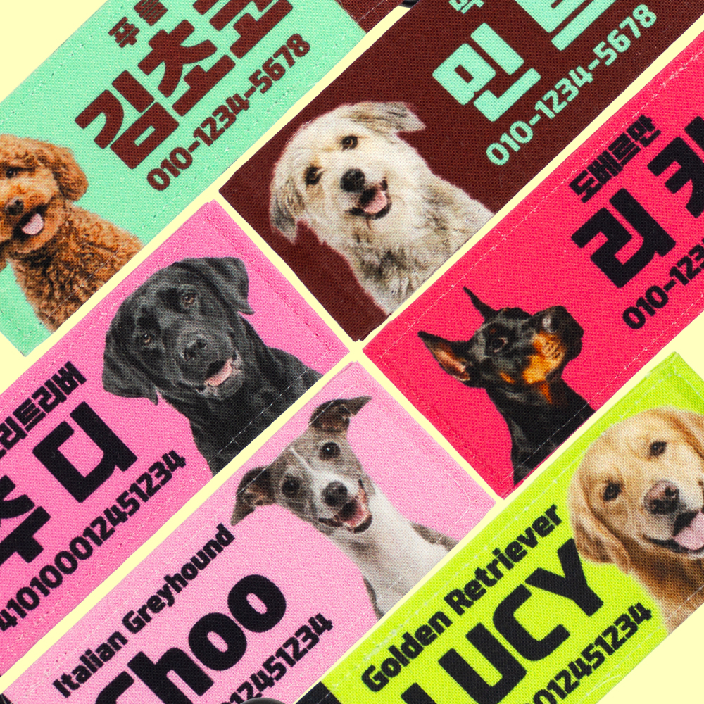 산책 강아지 네임택 패션 인식표 얼굴이 들어가는 이름표