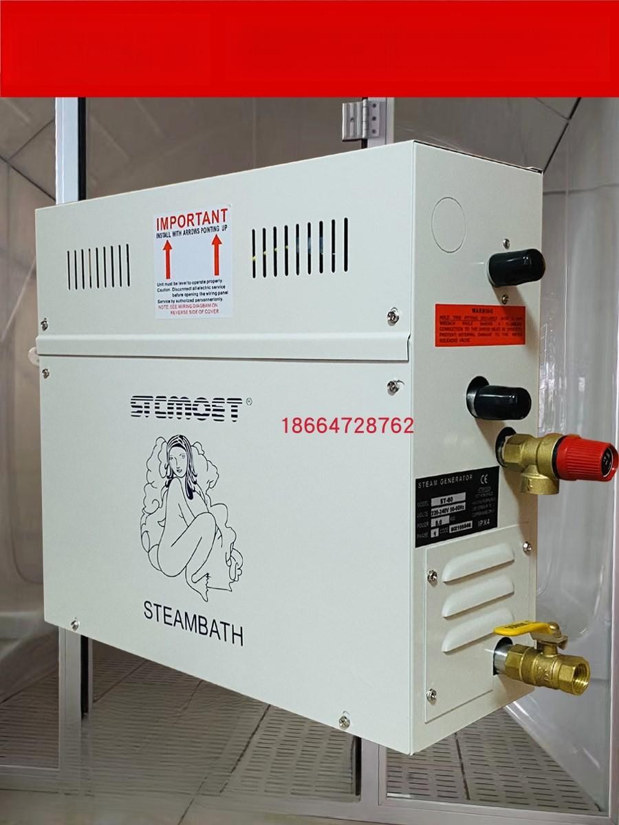 이동식 사우나 전신 스팀 증기 가정용 찜질방 간이 습식 4.5KW/220V - 상품 이미지
