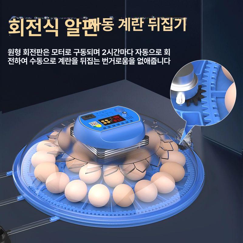 계란 부화기 온도제어 병아리 키우기 메추리 가금류 자동 12알 전자동 이중 + 날짜 표시 범용모델 - 상세 이미지 3