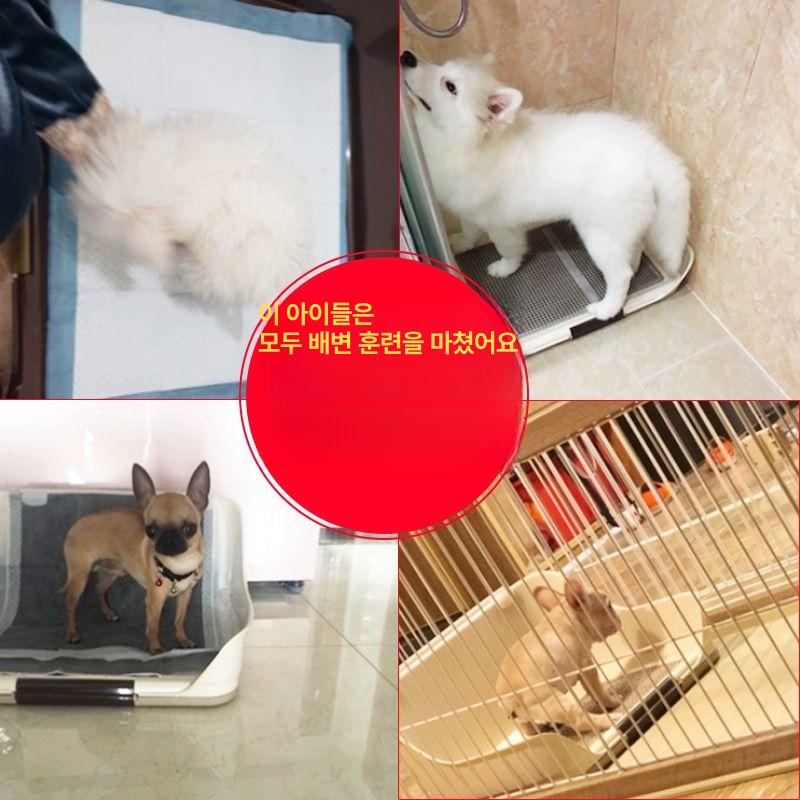 마킹 배변판 수컷 오줌 가림막 강아지 화장실 높은벽 브라운 중형 - 상세 이미지 4