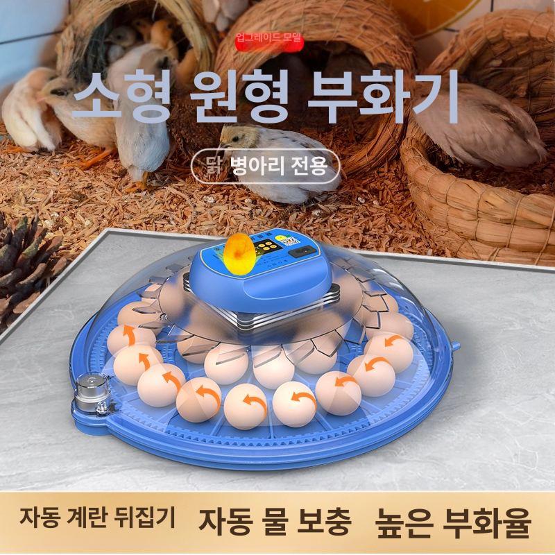 계란 부화기 온도제어 병아리 키우기 메추리 가금류 자동 12알 전자동 이중 + 날짜 표시 범용모델 - 상세 이미지 2