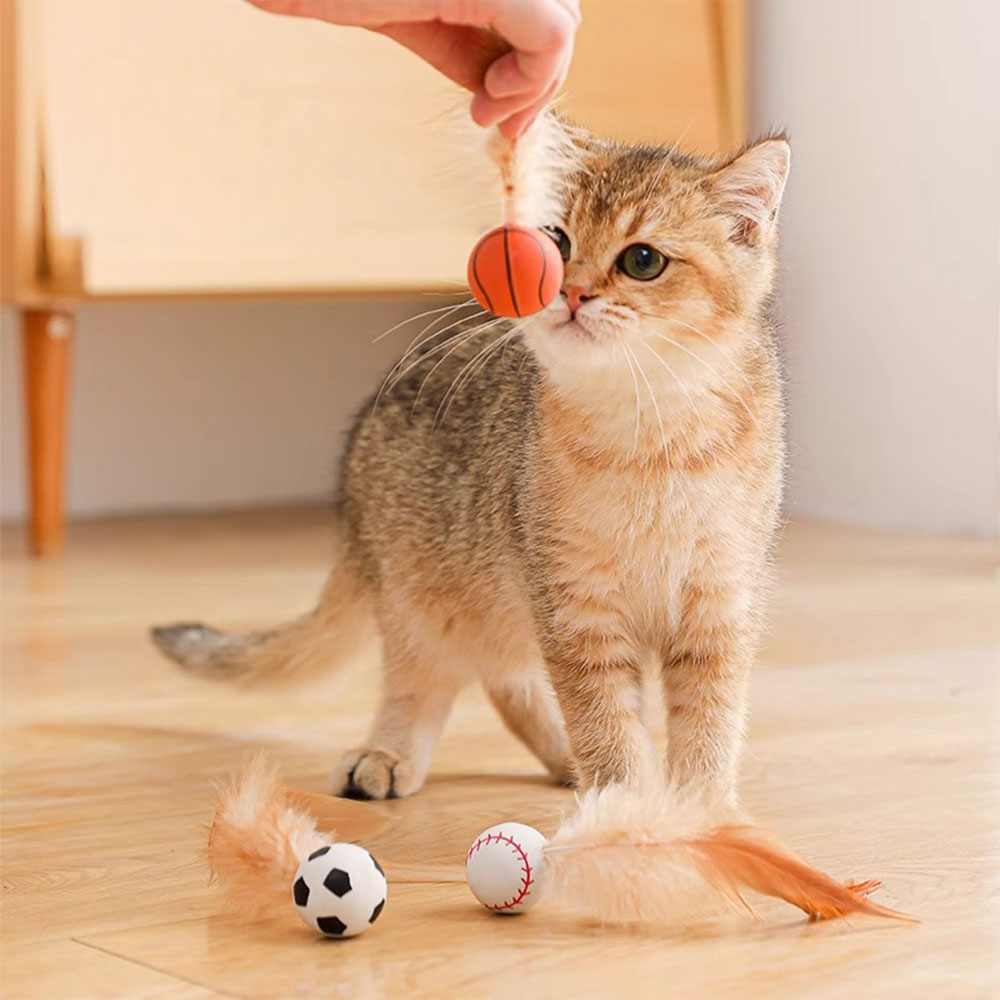 크레용펫 고양이 깃털 탱탱볼 드리블 공 장난감 - 상세 이미지 2
