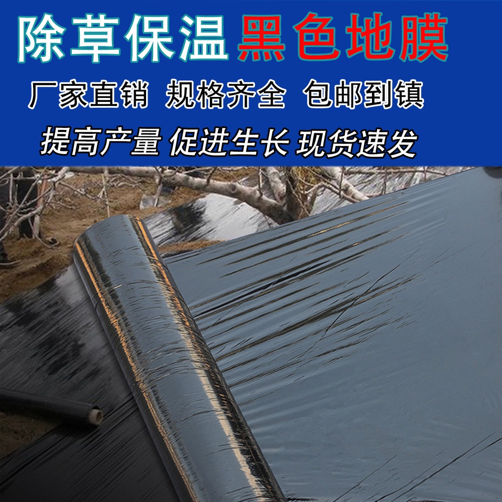 텃밭 비닐하우스 멀칭용 필름 농사용 비닐 온실 농업용 비닐 소재 검정 11근 폭 0.6m 길이 800m - 상세 이미지 3