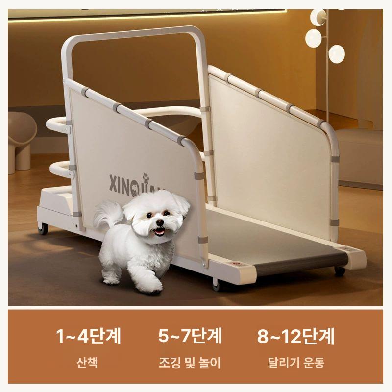 강아지 실내 산책 재활 훈련 런닝머신 트레드밀 다이어트 스타리그레이 해외 주문용 보강 프레임 포함 - 상세 이미지 3