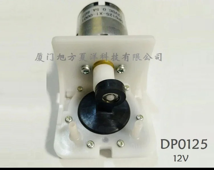 일본 DP0125/0140 12V 전기 플런저 압축 펌프
