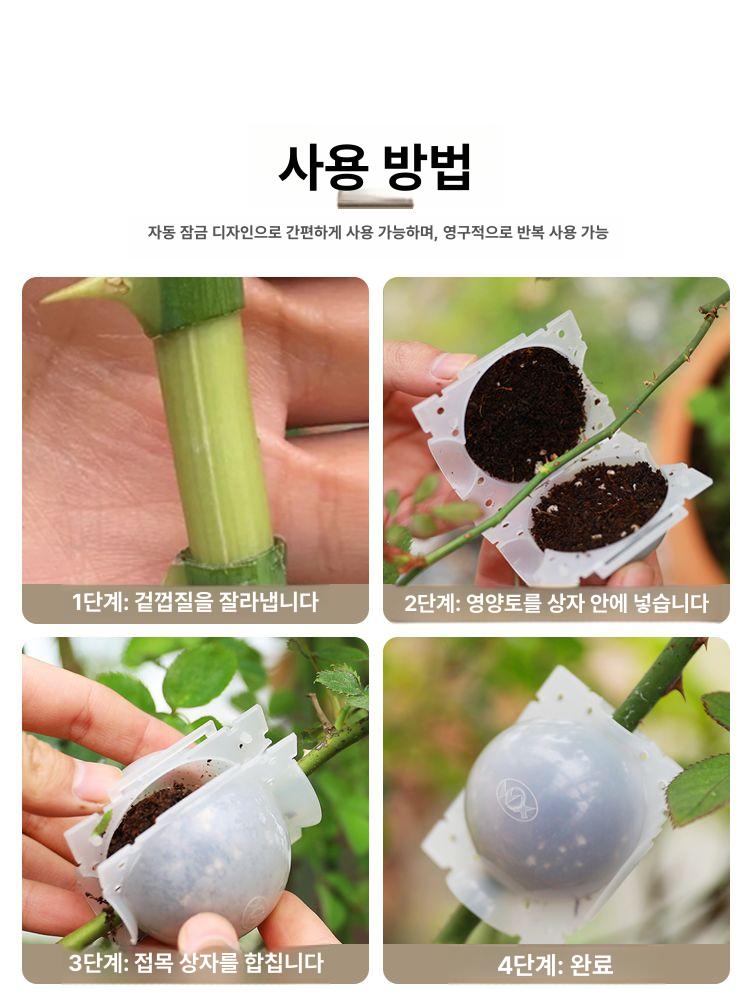 루팅볼 취목볼 루팅팟 투명 접목 삽목 공중뿌리 발근 소형 블랙 1개 플라스틱 - 상세 이미지 4