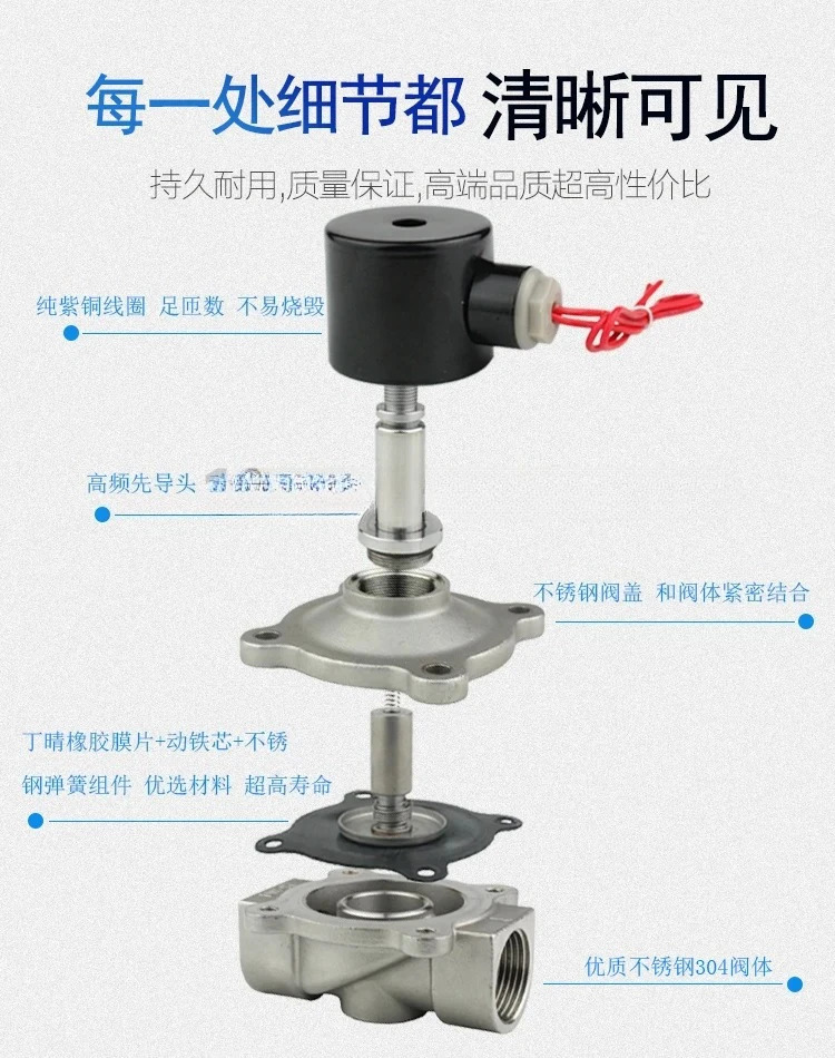 2W/S 스테인레스 스틸 304 솔레노이드 밸브 물 정상 220V 24V dn50