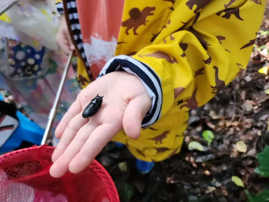 [깨비의숲마을][북서울꿈의숲] 서울 강북구 숲체험 어린이 봄 유아 초등 자연 곤충 주말 체험 학습 이미지 3