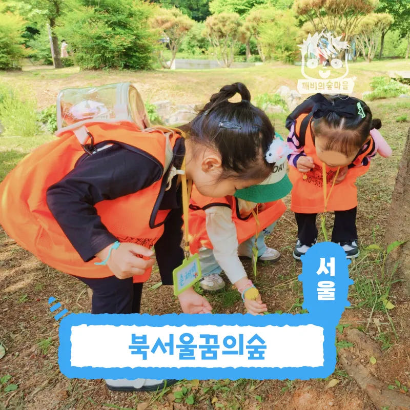 아이고고 서울 강북구 숲체험 어린이 여름 유아 초등 자연 곤충 체험 학습 - 최저가 35,000원