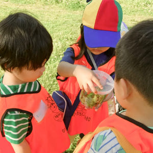[깨비의숲마을][하남나무고아원] 경기 하남 숲체험 어린이 봄 유아 초등 ... 솔직 후기 | 실사용자 리뷰 분석 - 상품 이미지 3