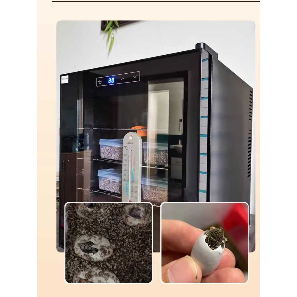 파충류 인큐베이터 크레 도마뱀 케이지 개코 알 산란 블랙 23L - 상세 이미지 5