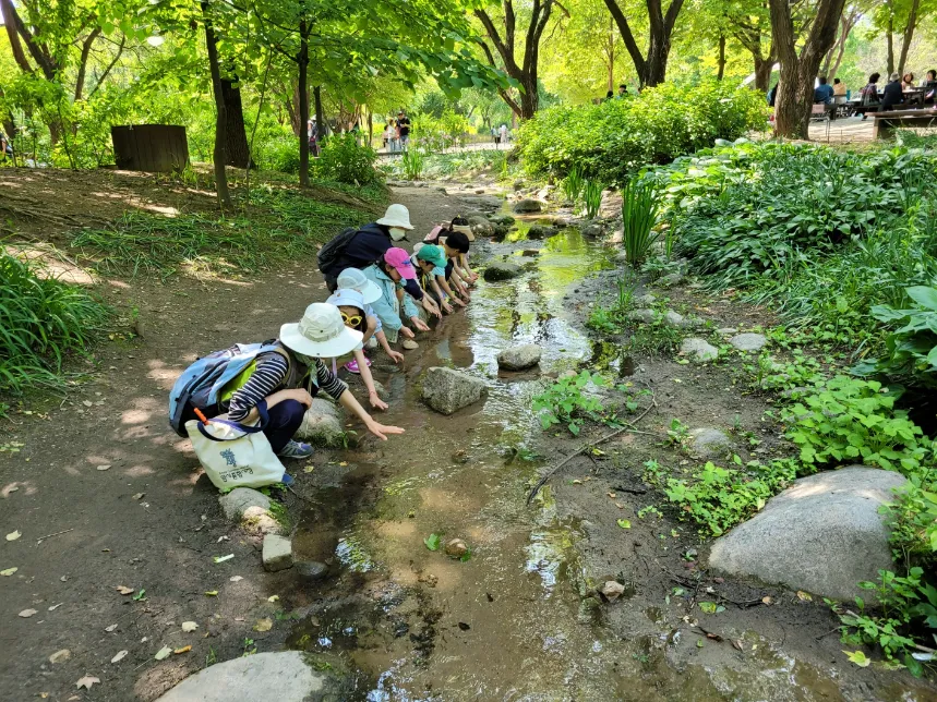 [깨비의숲마을][서울숲] 서울 성동구 숲체험 어린이 봄 유아 초등 자연 곤충 주말 체험 학습 이미지 2