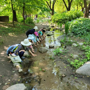 [깨비의숲마을][서울숲] 서울 성동구 숲체험 어린이 봄 유아 초등 자연 ... 솔직 후기 | 실사용자 리뷰 분석 - 상품 이미지 2