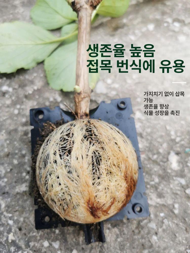 루팅볼 취목볼 루팅팟 투명 접목 삽목 공중뿌리 발근 소형 블랙 1개 플라스틱 - 상세 이미지 3