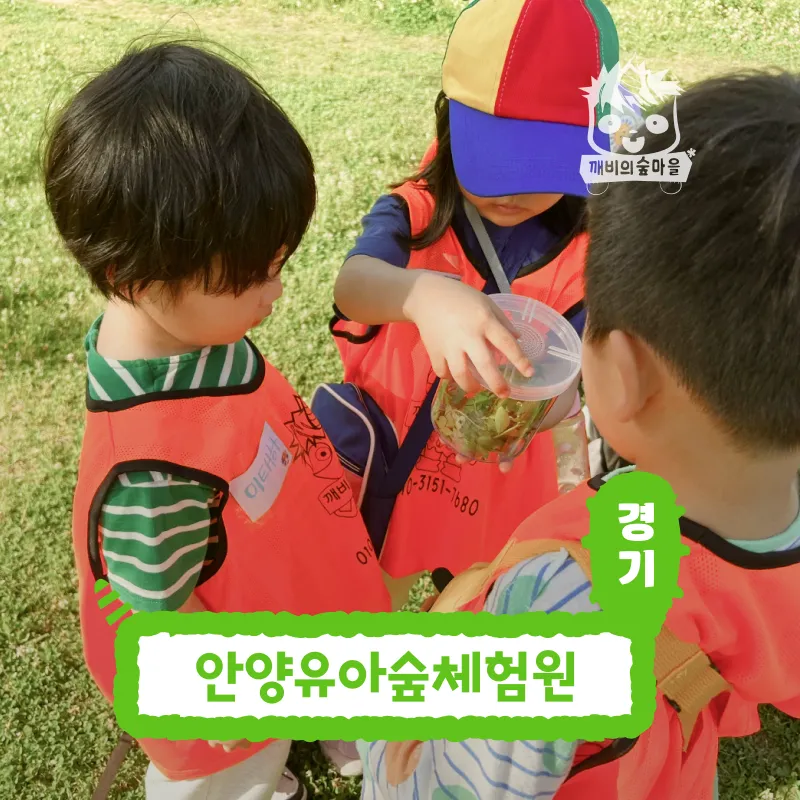 [깨비의숲마을][안양유아숲체험원] 경기 안양 숲체험 어린이 가을 유아 초등 자연 곤충 주말 체험 학습