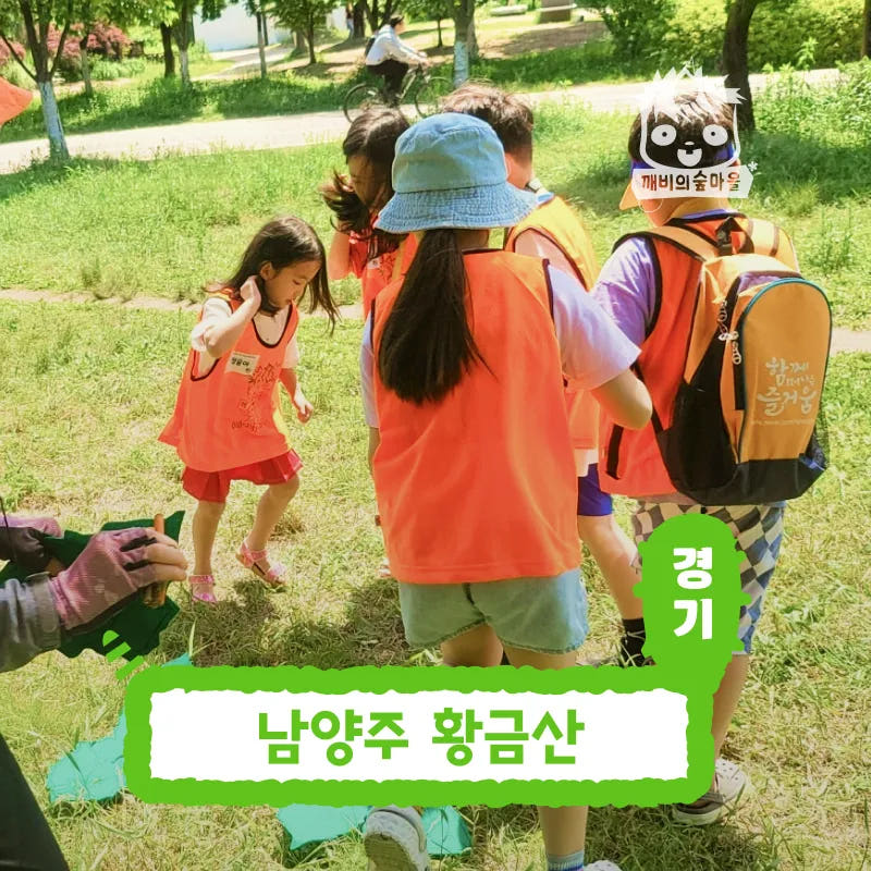 경기 남양주 숲체험 어린이 여름 유아 초등 자연 곤충 체험 학습 가격 추이 아이고고 경기 남양주 숲체험 어린이 여름 유아 초등 자연 곤충 체험 학습 - 최저가 35,000원