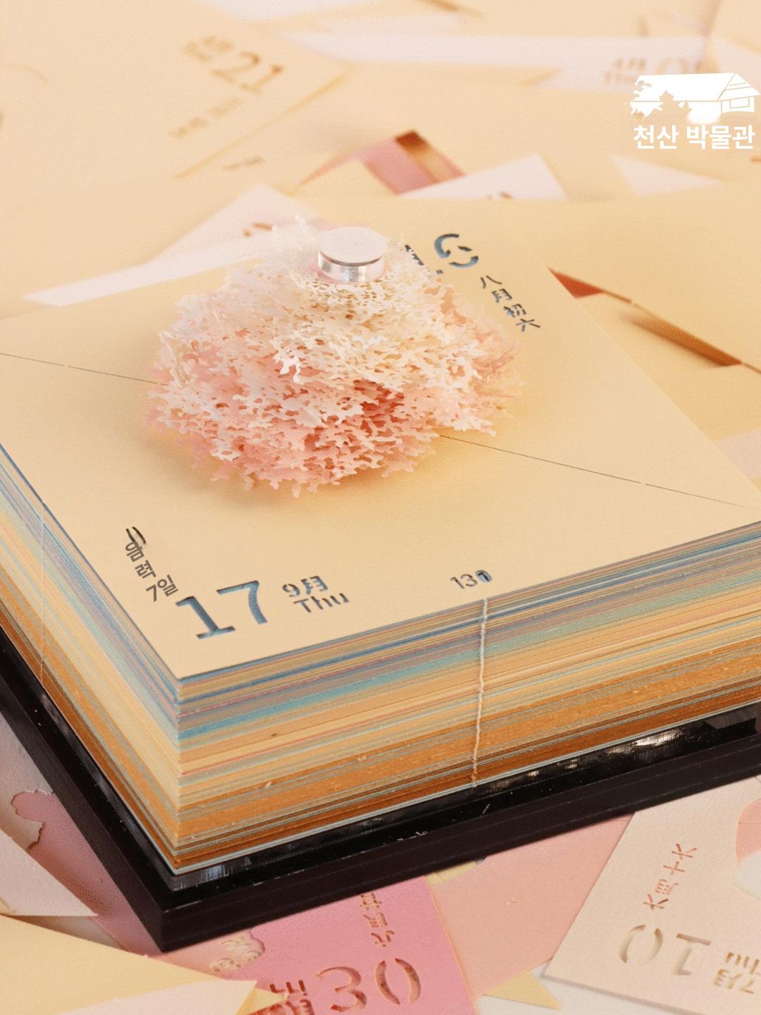 입체달력 뜯어쓰는 벚꽃 상자 하우스 선물 트리 찢는 감성 숲 탁상 메모 신년 캘린더 - 상세 이미지 4