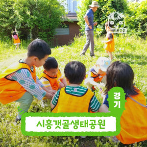 [깨비의숲마을][시흥갯골생태공원] 경기 시흥 숲체험 어린이 봄 유아 초등... 솔직 후기 | 실사용자 리뷰 분석 - 상품 이미지 1