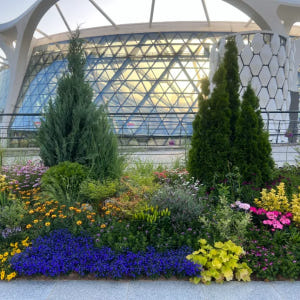 [깨비의숲마을][마곡서울식물원] 서울 강서구 숲체험 어린이 봄 유아 초등... 솔직 후기 | 실사용자 리뷰 분석 - 상품 이미지 3