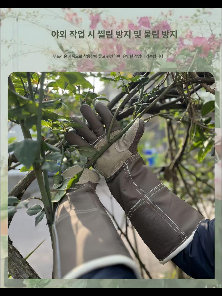 소가죽 가시 방지 밤나무 장갑 및 원예 전문 가지치기 1단계 두꺼워지고 연장된 이중층 방검 45cm - 상세 이미지 4