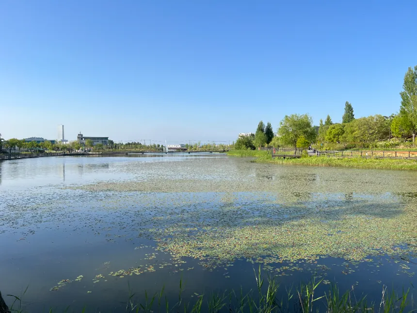 [깨비의숲마을][마곡서울식물원] 서울 강서구 숲체험 어린이 봄 유아 초등 자연 곤충 주말 체험 학습 이미지 2