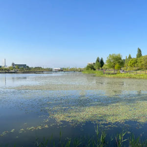[깨비의숲마을][마곡서울식물원] 서울 강서구 숲체험 어린이 봄 유아 초등... 솔직 후기 | 실사용자 리뷰 분석 - 상품 이미지 2