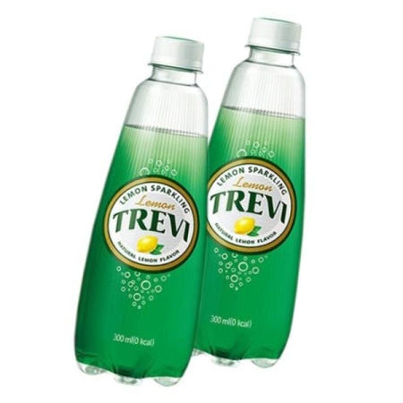 플레인 롯데 트레비 레몬 x 20페트 300ml
