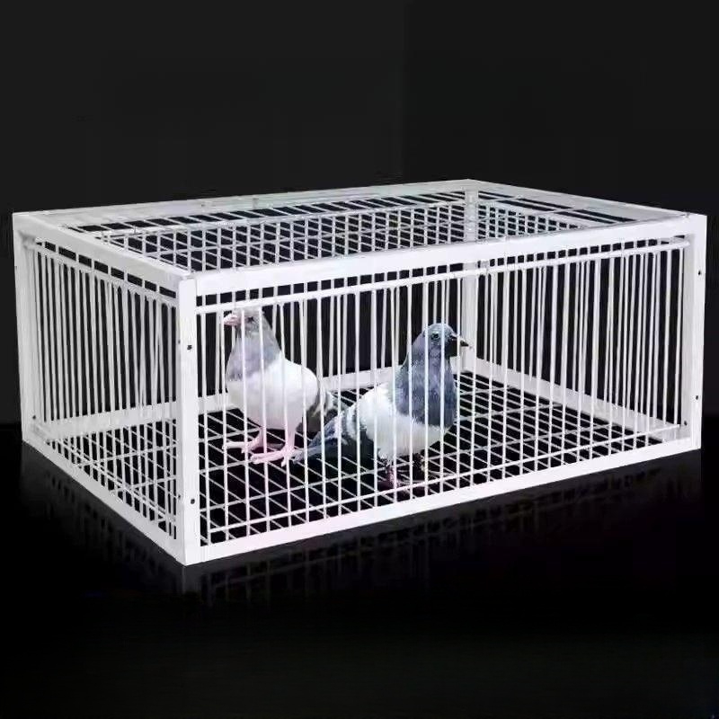 새 덫 철재 트랩 옥상 조립식 참새 비둘기 포획기 까치 40 x 30x26 2구 출입구 천창 없음 - 상품 이미지