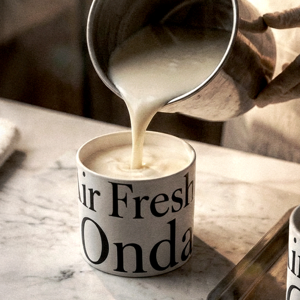 온다숲 힐링 탈취제 330g 고체 디퓨저 방향제 옷장 실내 화장실 우롱차향 2개