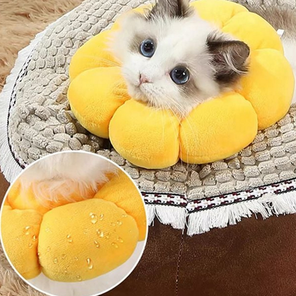 수술 강아지 넥 카라 고양이 넥 카라 반려동물 쿠션