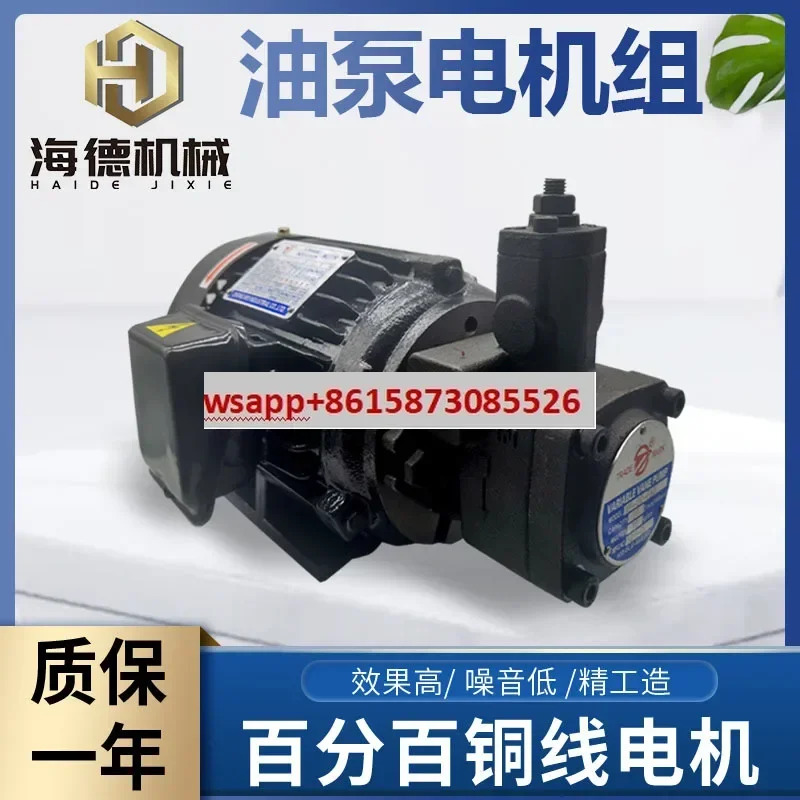 유압 오일 펌프 모터 어셈블리 VP200.75KW1.5 내부 샤프트 스테이션 액세서리 시스템