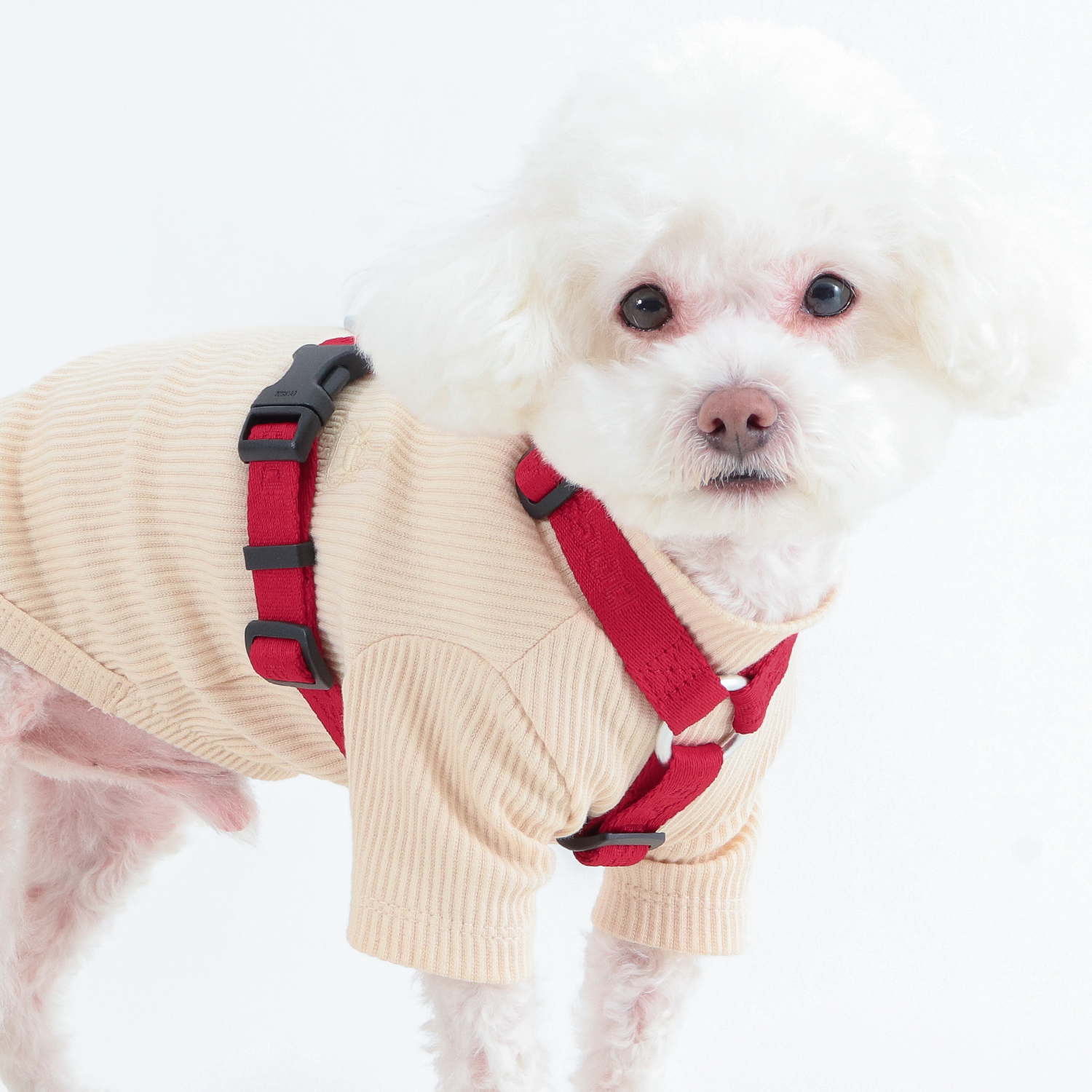 독스랩 강아지 하네스 소형견 가슴줄 클래식 중형견 대형견 H형 XS 이미지 8