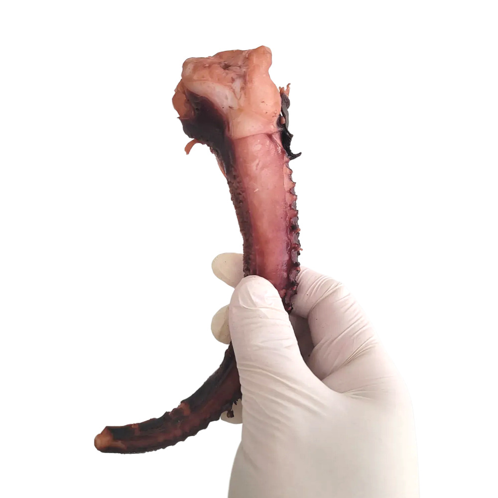 가문어 통족 오징어 다리 500g - 상세 이미지 3