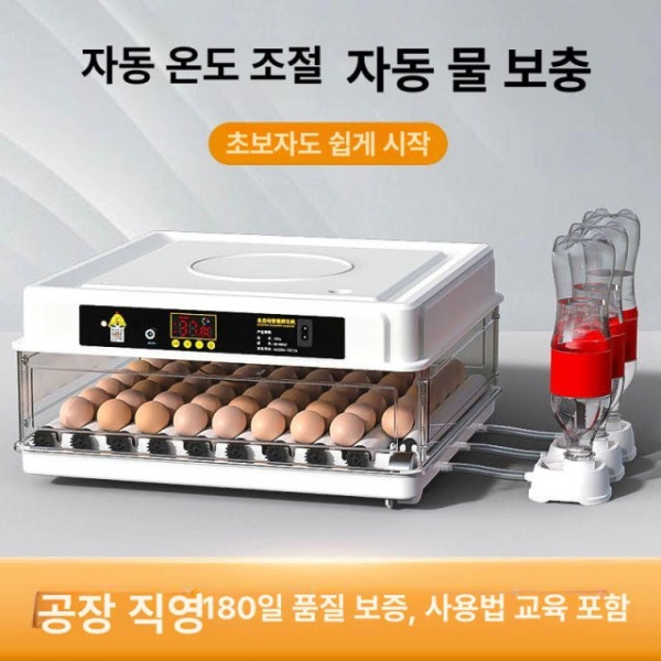 프리미엄 지능형 자동 부화기 앵무새 병아리 거위 인큐베이터 6개 단전 6개 자동 단전 - 상품 이미지