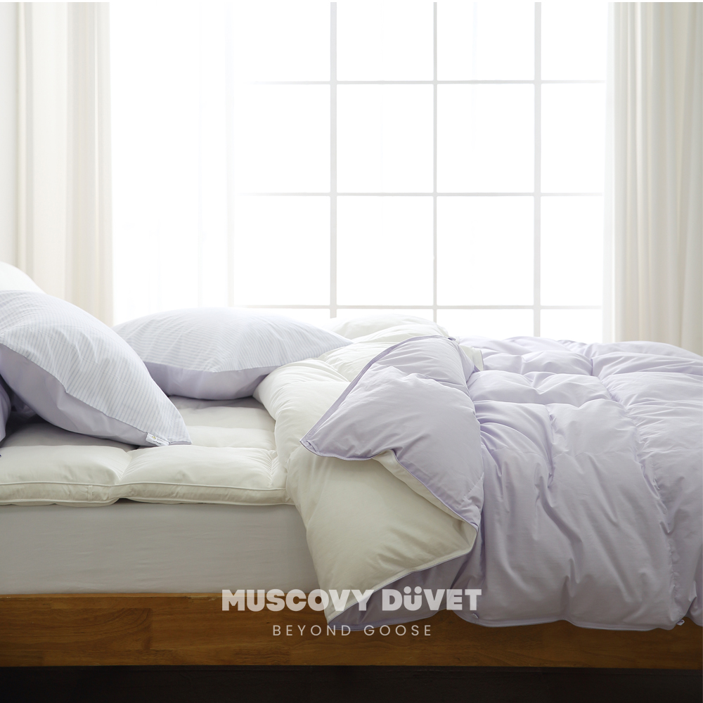 머스코비 듀벳 구스 이불 거위털 사계절 호텔 이불 침구 캔서 S 600g